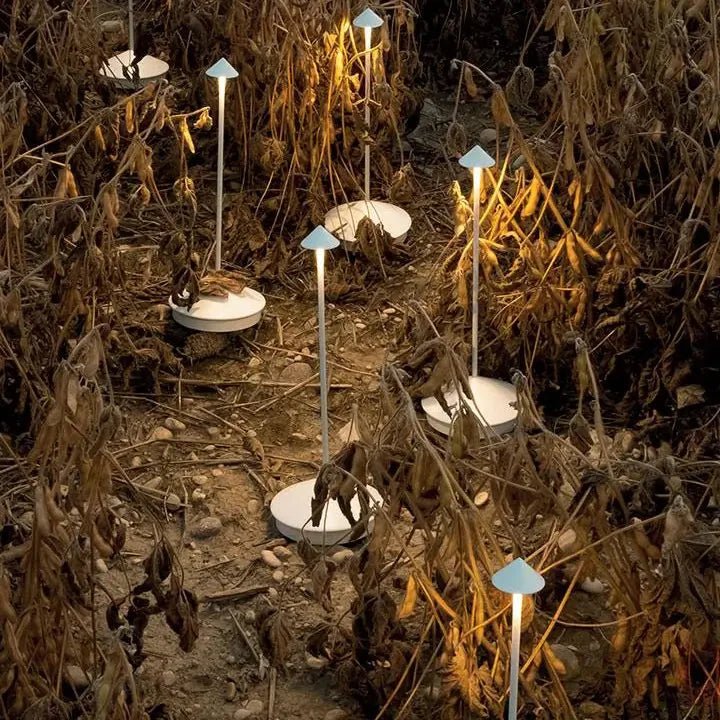 PointLight Pilhuvud-bordslampa